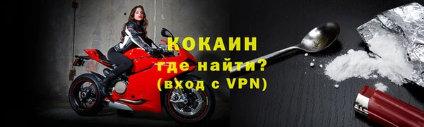 амф Тайга