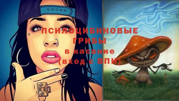экстази Алексин