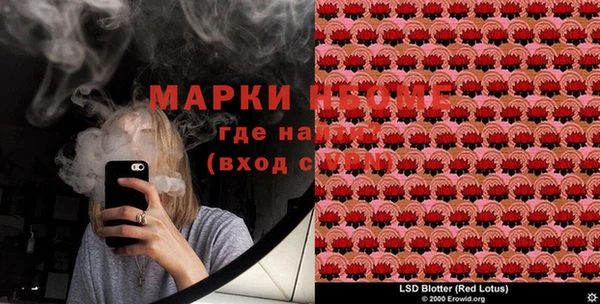 PSILOCYBIN Струнино